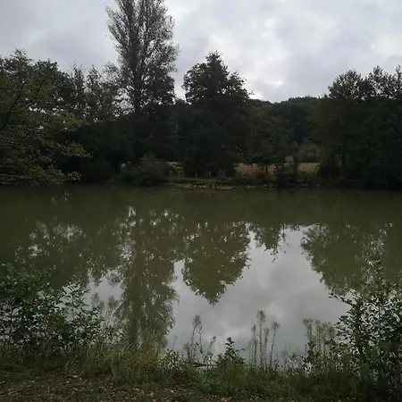 Accueillant Avec Vue Sur Le Estang