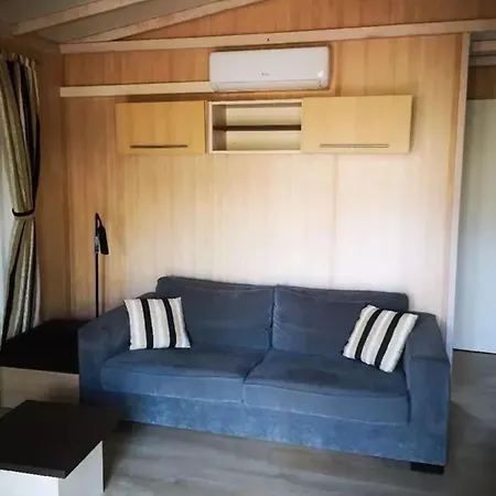 Accueillant Avec Vue Sur Le Chalet